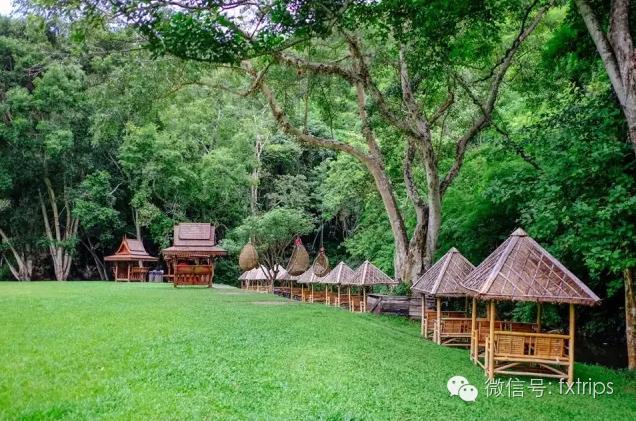 清迈丨宁可错过人妖秀，不可错过下午茶！