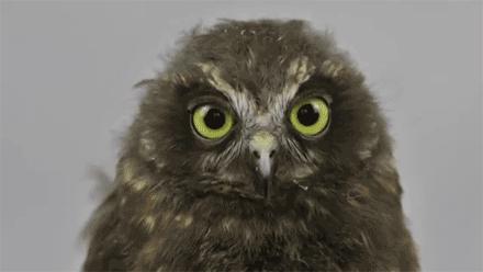 在南昌的10种花样死法，总有一种在劫难逃！