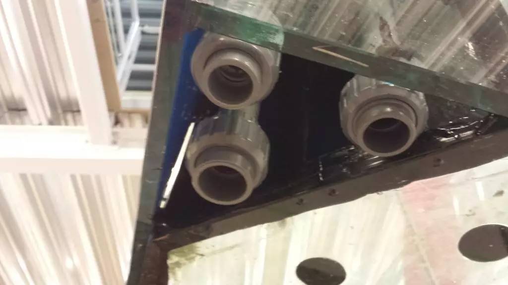 北欧古法缸,记录原生缸养鱼过程