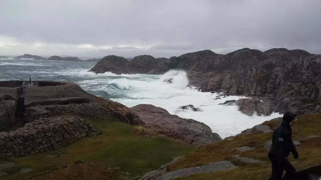 北欧古法缸,记录原生缸养鱼过程