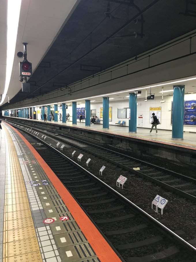 16年的大阪,京都樱花2016