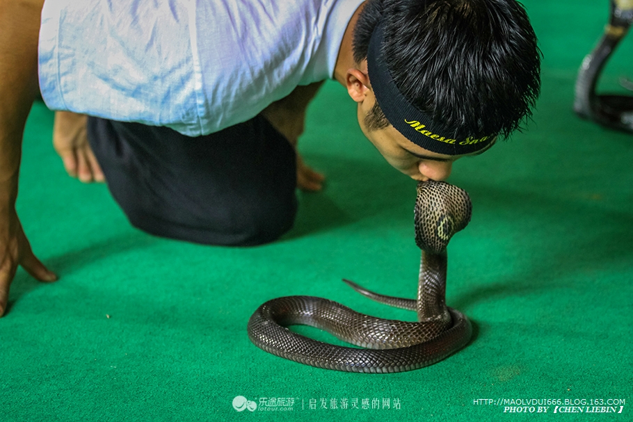 清迈闲游,十一去清迈旅游