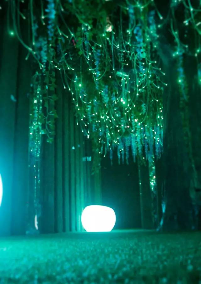 追忆|如果回到童年，这件事你一定会再做一次