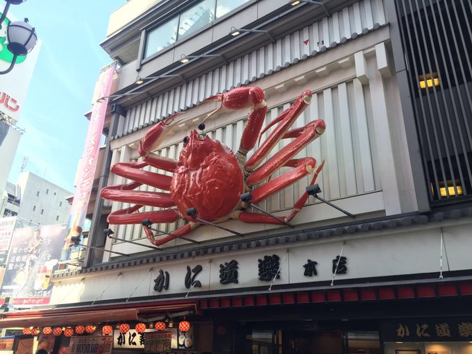 16年的大阪,京都樱花2016