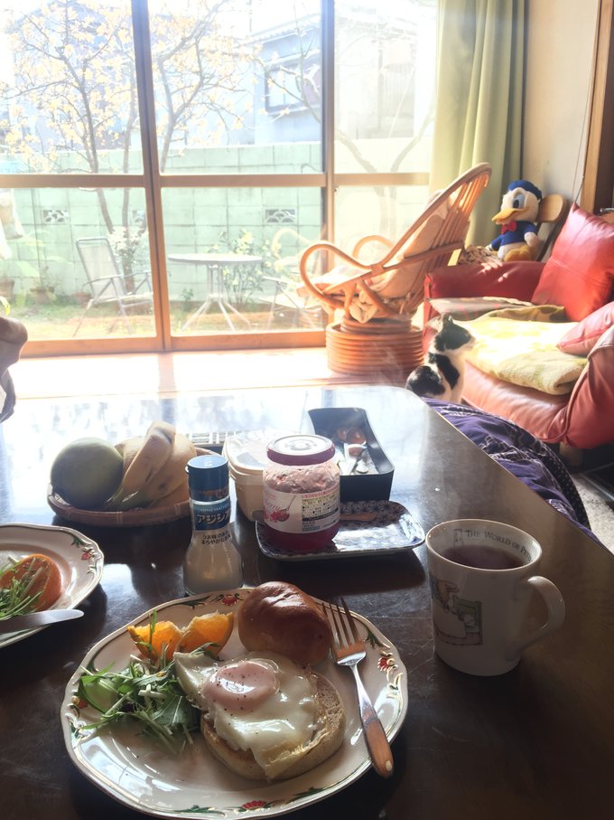 16年的大阪,京都樱花2016