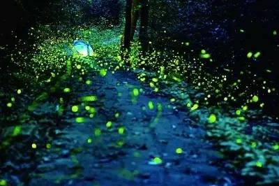 追忆|如果回到童年，这件事你一定会再做一次