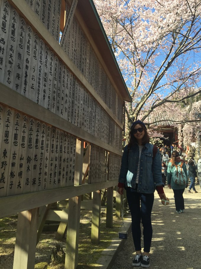 16年的大阪,京都樱花2016