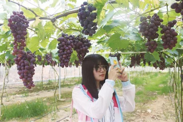 安溪尚卿乡简介,安溪尚卿乡在哪里