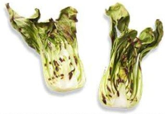 美式碳烤教程,正宗日式碳烤