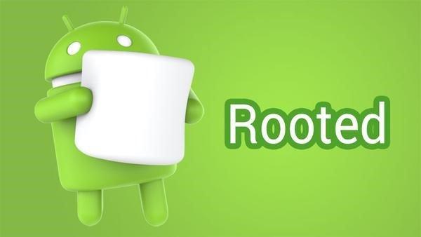 androidsystem和root哪个权限高,android为什么与linux分开了
