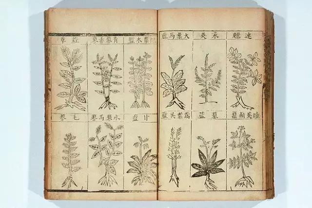 定坤丹水蜜丸的功效和功能,绝经后吃定坤丹的功效与功能