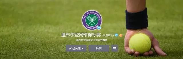 温网百年庆典中文解说,百年温网