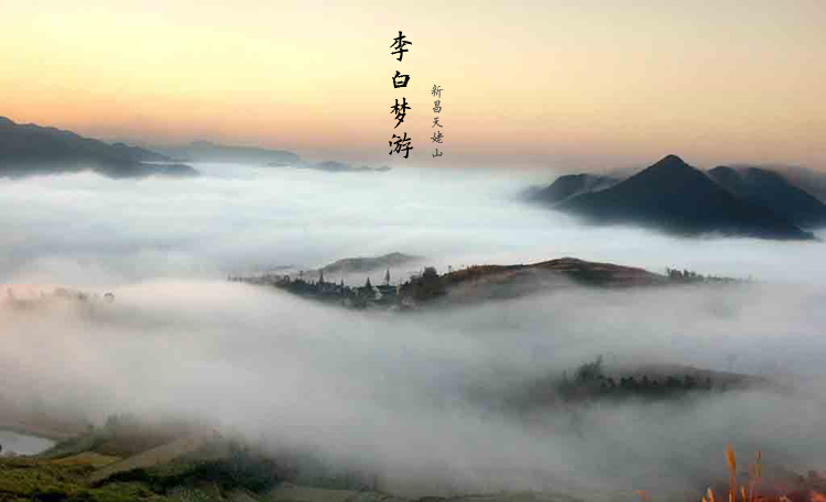 喝大佛龙井，养脾脏肝肾