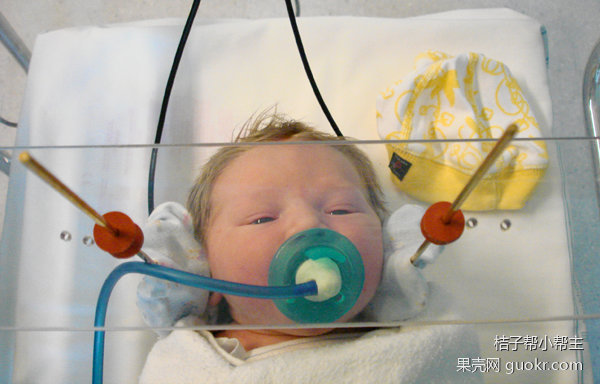 孕期能去看演唱会吗,怀孕晚期能够看演唱会