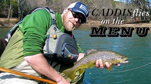 新西兰美食攻略自助,新西兰顶级美食图片