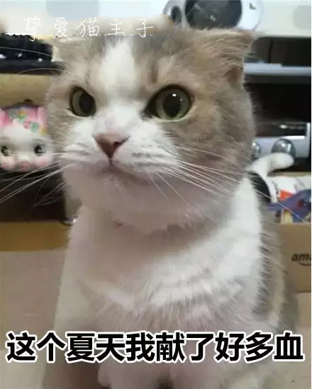 皇上快把臣妾打入冷宫小说,皇上把我打入冷宫吧