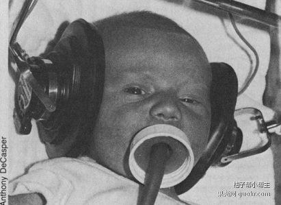 孕期能去看演唱会吗,怀孕晚期能够看演唱会