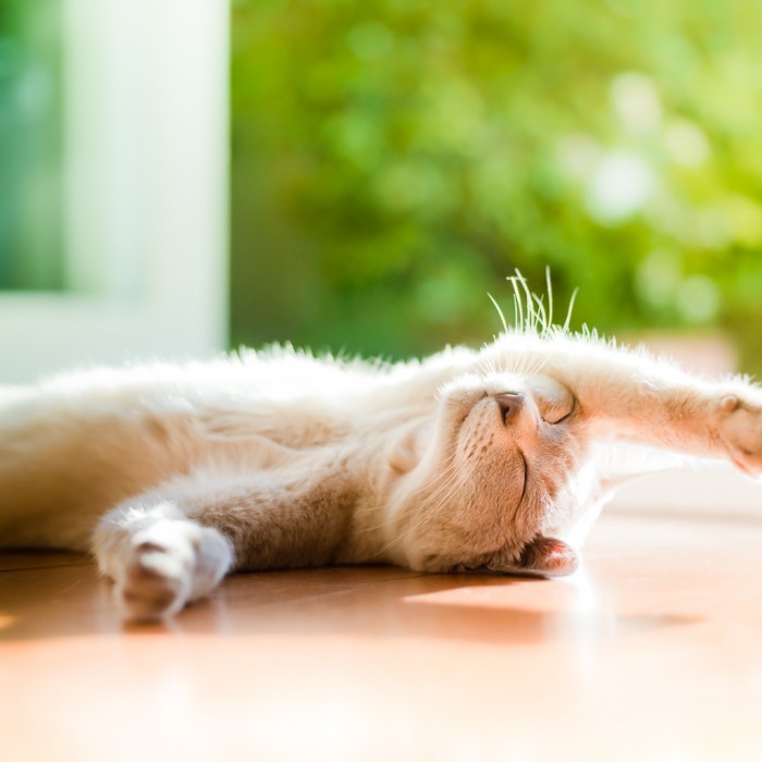 不容易衰老的保健品有哪些,世界公认的十大养生保健品