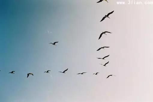 古典诗里的绝美意象,古代诗歌意象意境