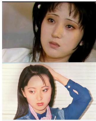 赵雅芝背后的故事,为赵雅芝出家的香港演员