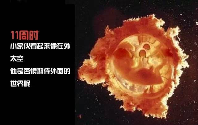 造人计划之前必须要做的几件事,造人是个很辛苦的事情