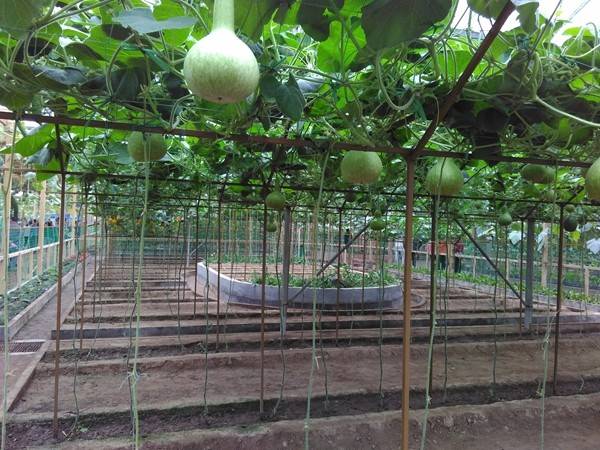 带上小蚁运动相机游潍坊（三）寿光菜博会