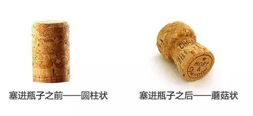香槟酒的瓶塞是怎么装进去的,为什么香槟的酒塞是蘑菇形状
