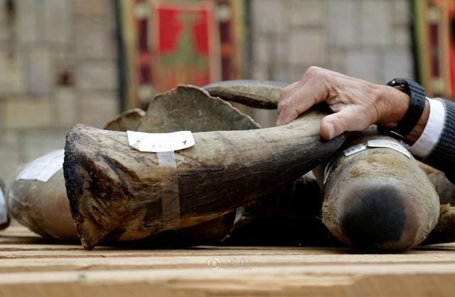 你绝对不敢玩的文玩宝贝，40名荷枪实弹的士兵日夜守护！