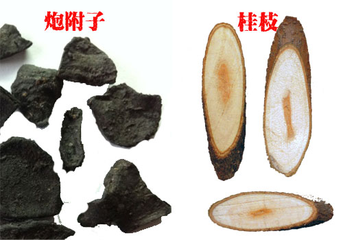 金匮肾气丸合适肾阴虚还是肾阳虚,金匮肾气丸治肾阳虚还是治肾阴虚