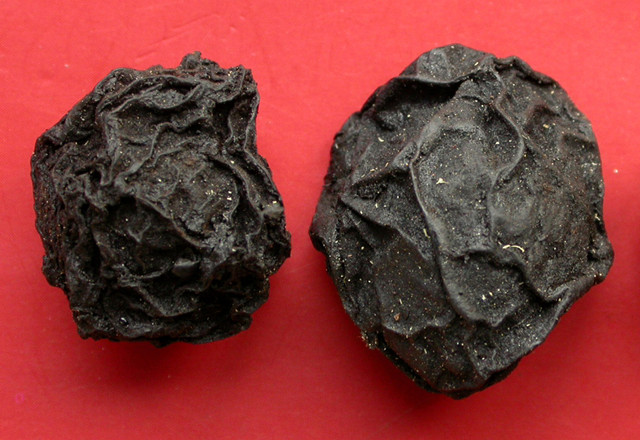 江畔论道：被失眠折磨一年，用八天自我救赎