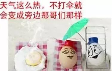 重庆改名字有望吗,重庆有望改名吗