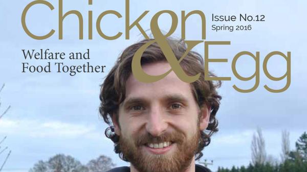 威尔士事件,威尔士国家队事件