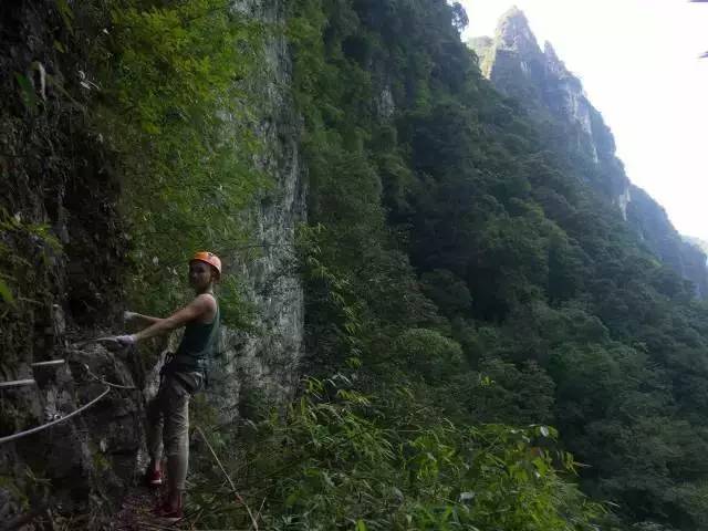 九个理由电影完全版,九个理由