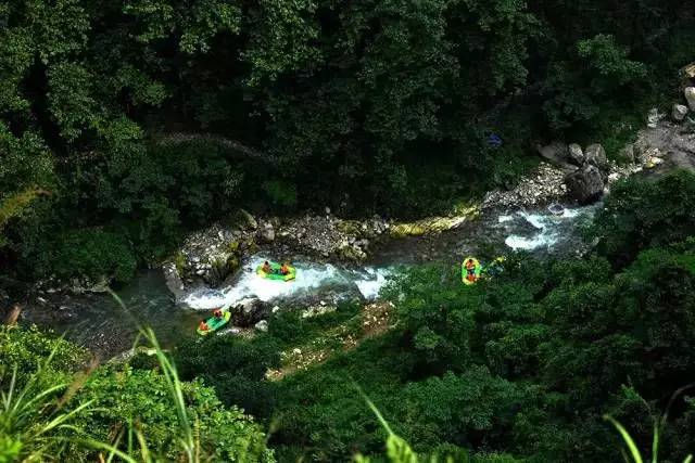 九个理由电影完全版,九个理由