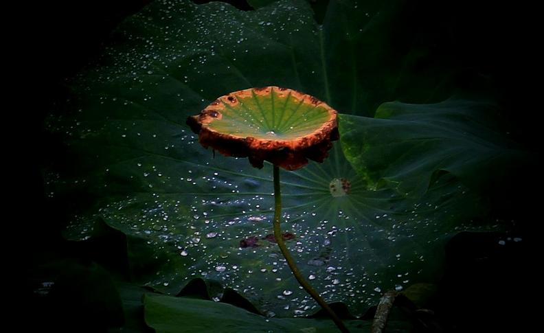 阴雨天青岛合适去的地方,阴雨天青岛旅游攻略三天两夜