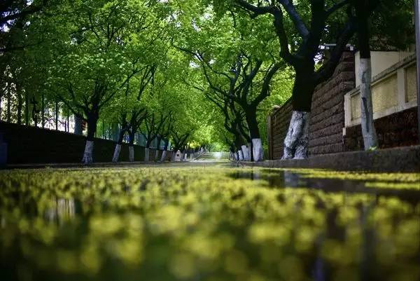 阴雨天青岛合适去的地方,阴雨天青岛旅游攻略三天两夜