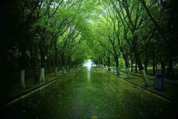 阴雨天青岛合适去的地方,阴雨天青岛旅游攻略三天两夜