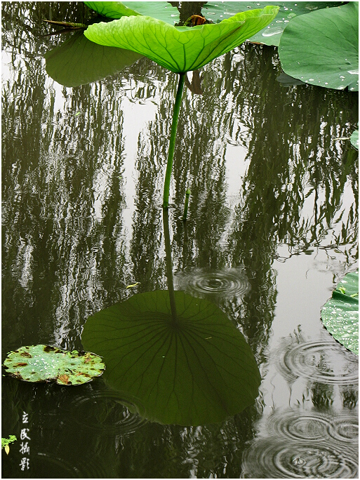 阴雨天青岛合适去的地方,阴雨天青岛旅游攻略三天两夜
