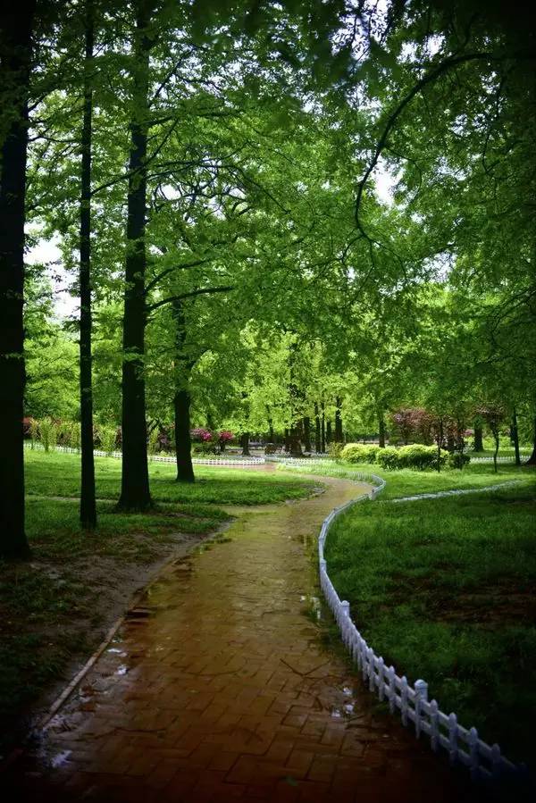 阴雨天青岛合适去的地方,阴雨天青岛旅游攻略三天两夜