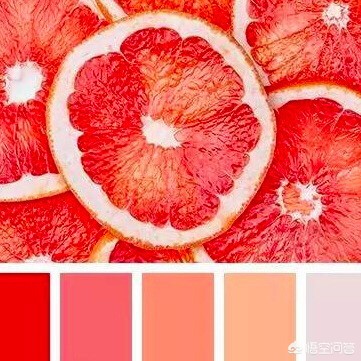 欧莱雅小妖金304西柚色口红,最好看西柚色唇