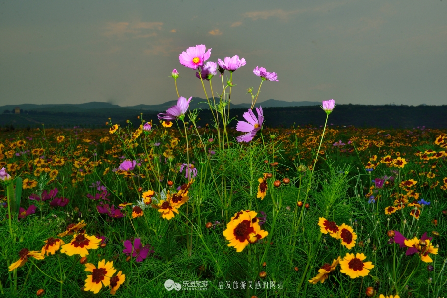 红石沟油菜花,红石沟秋景