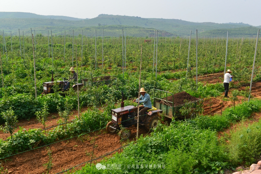 红石沟油菜花,红石沟秋景