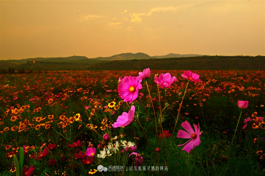 红石沟油菜花,红石沟秋景