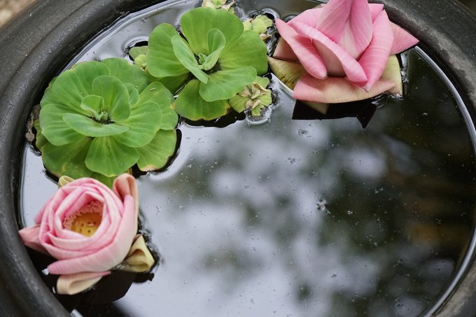 探访桑香佛舍，梦回须弥胜境