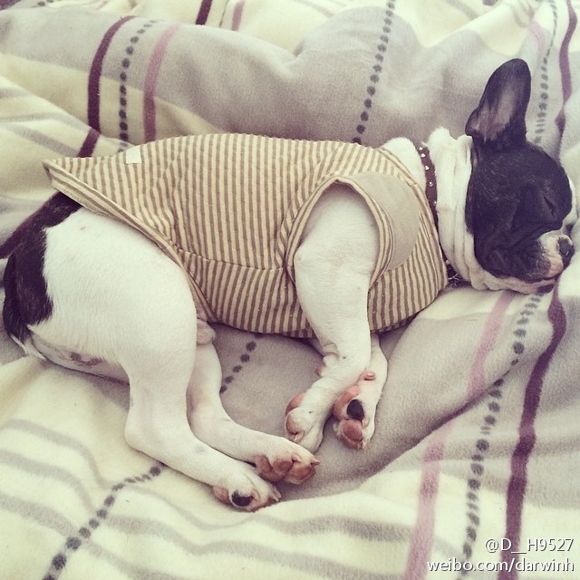 激萌祛痘了怎么恢复,激萌正确使用法