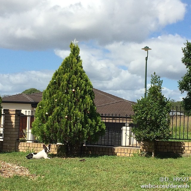 激萌祛痘了怎么恢复,激萌正确使用法