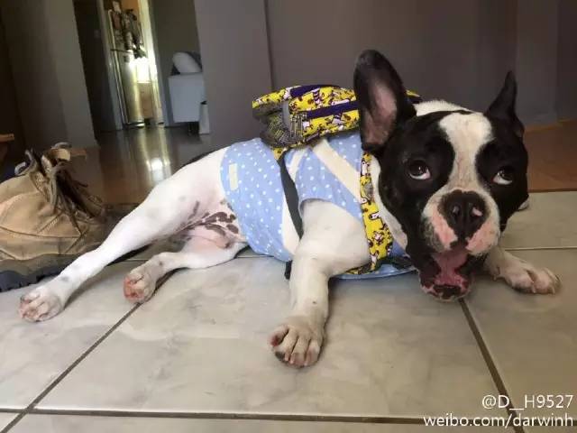 激萌祛痘了怎么恢复,激萌正确使用法