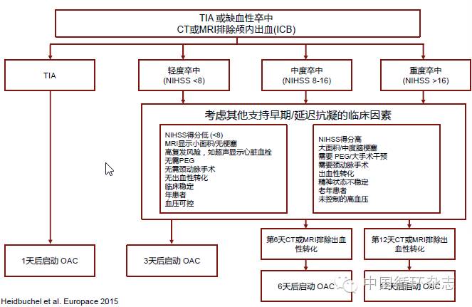 房颤患者预防脑卒中拜瑞妥剂量,北京天坛神经内科行家看脑卒中