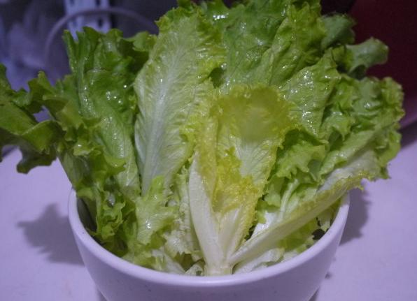 哥本哈根减肥食谱app,哥本哈根减肥食谱全部