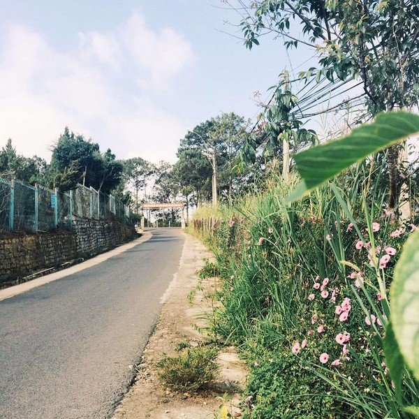 越南胡志明市一日游旅游攻略,东兴口岸攻略越南芒街一日游